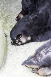 Similar image 13216850