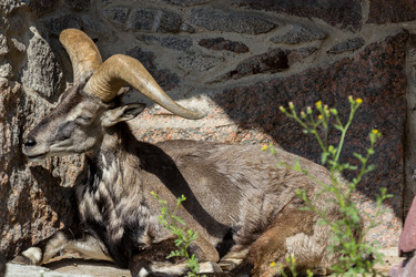 Similar image 13211302