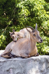 Similar image 13211305