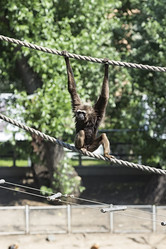 Similar image 13211306