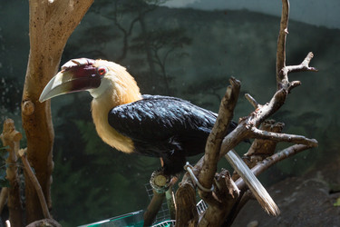 Similar image 13211309