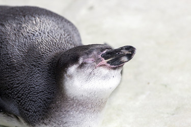 Similar image 13211310