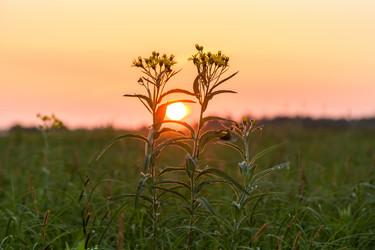 Similar image 13200623