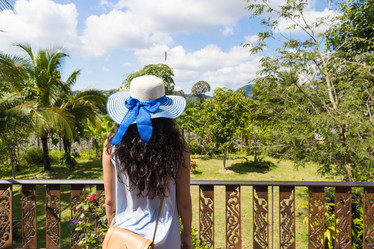 Similar image 13206693