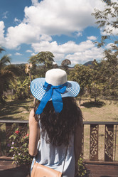 Similar image 13206694