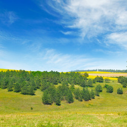 Similar image 13200639