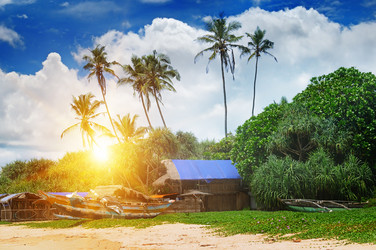 Similar image 13200641