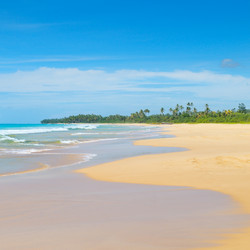 Similar image 13200666