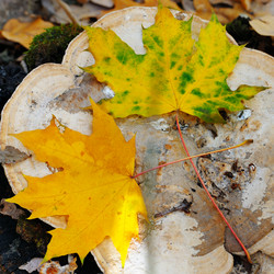 Similar image 13200668