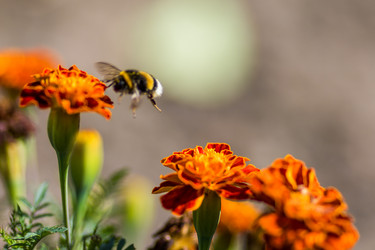 Similar image 13198371