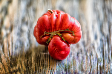 Similar image 13198384