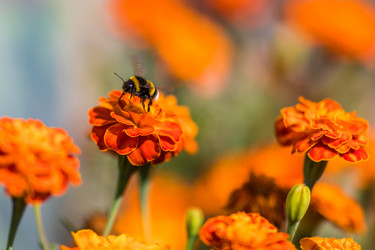 Similar image 13198405