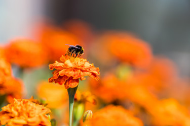 Similar image 13198407