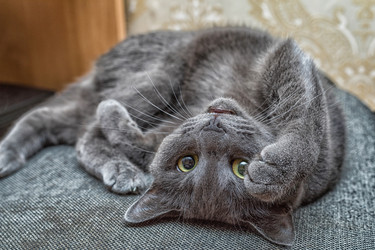 Similar image 13198426