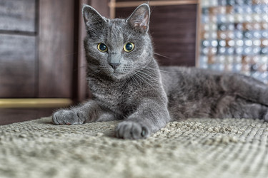 Similar image 13198428