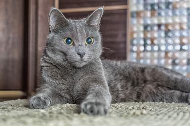 Similar image 13198441