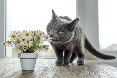 Similar image 13198462