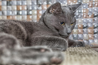 Similar image 13198465