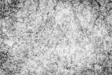 Similar image 13198504