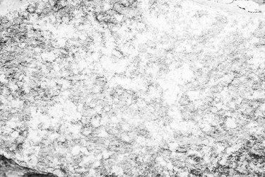 Similar image 13198539