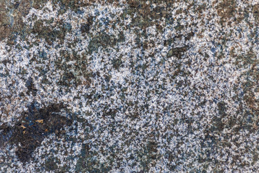 Similar image 13198564