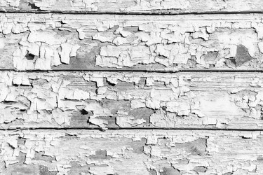 Similar image 13198566