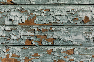 Similar image 13198209