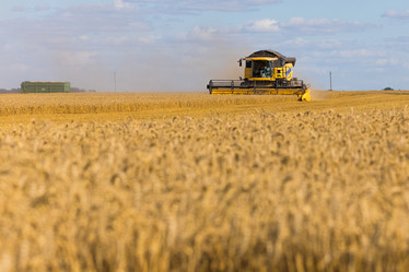 Similar image 13198214