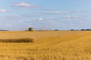 Similar image 13198217