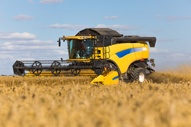 Similar image 13198220