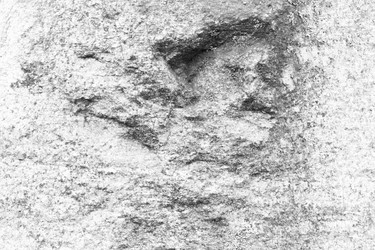 Similar image 13198229