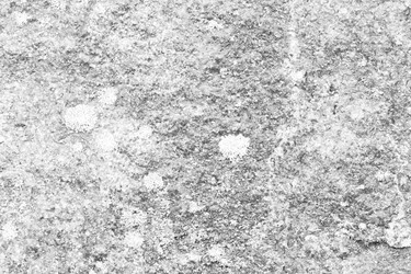 Similar image 13198247