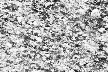 Similar image 13198253