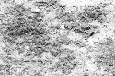 Similar image 13198255