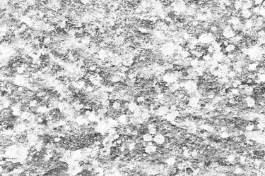 Similar image 13198269