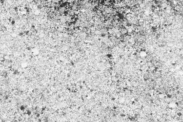 Similar image 13198270