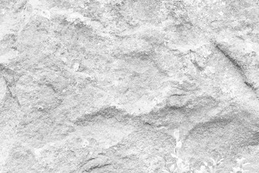 Similar image 13198272