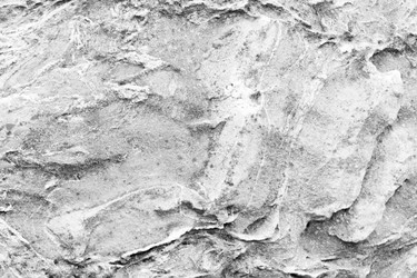 Similar image 13198274