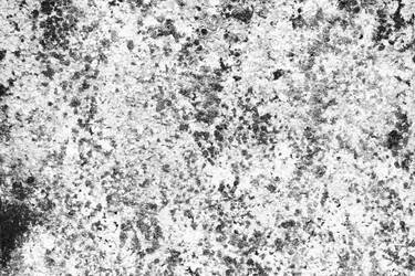 Similar image 13198277