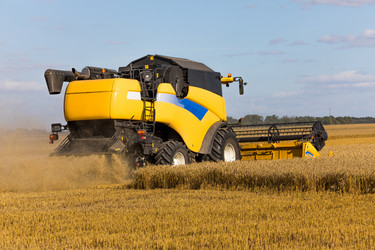 Similar image 13198278