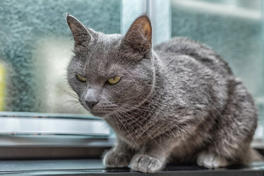 Similar image 13198292