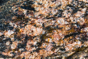 Similar image 13198327