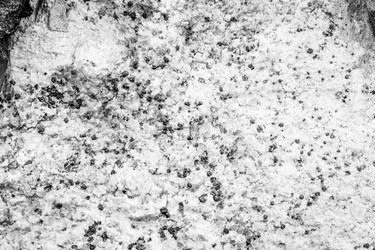 Similar image 13198329