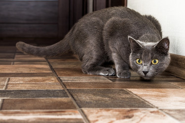 Similar image 13198331