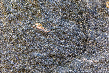 Similar image 13198343