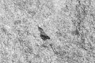 Similar image 13198353