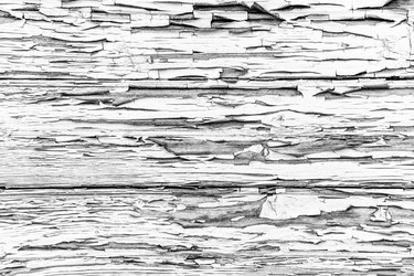 Similar image 13198375