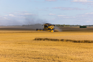 Similar image 13198383