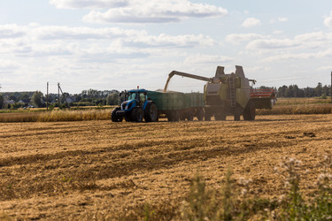 Similar image 13198392