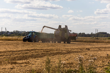 Similar image 13198393